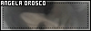 100x35 button