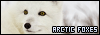100x35 button