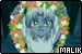 75x50 button