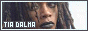 88x31 button