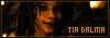 100x35 button