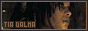 88x31 button