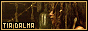 88x31 button
